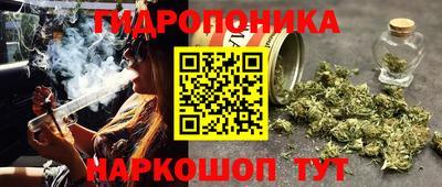 spice Гусиноозёрск