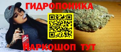кокс Гусев