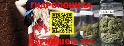 кокс Гусев