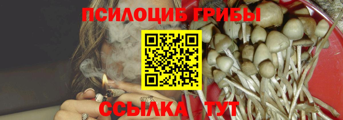 закладка  Вход с VPN  Галлюциногенные грибы Psilocybine cubensis  Нальчик  Галлюциногенные грибы Magic Shrooms 